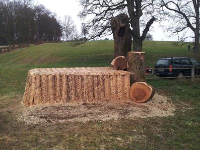Marbach Gelaendebau1