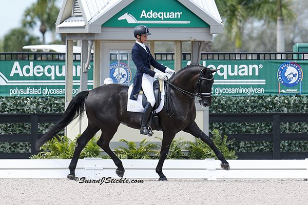 MatuteJuan DonDiegoYmas 2002 cStickle