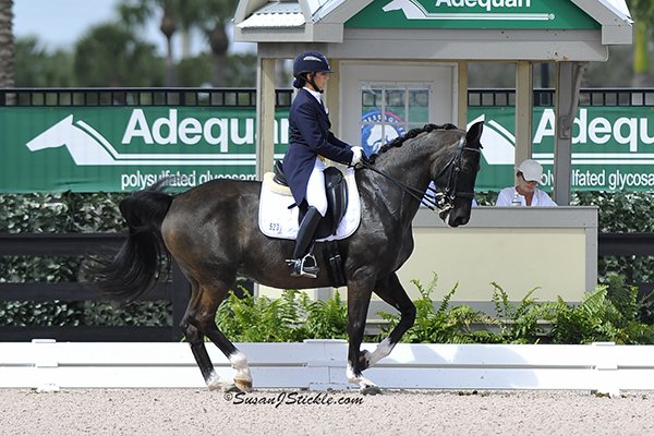 MontaganoMelanie GaDeva 0223 cStickle