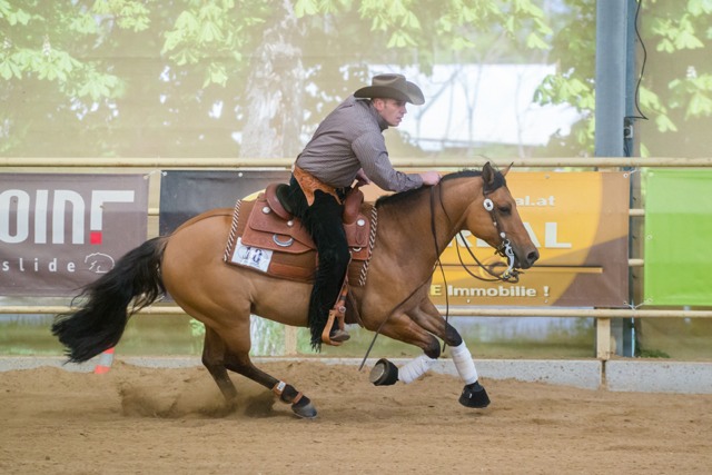 MorawitzMarkus DunItWizJerry CRI3 Wr.Neustadt cGraf 03