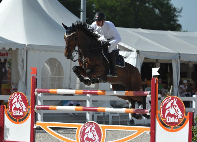 MuffWerner Alejandro 05 GoldTour Do