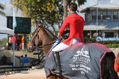 NationsCup Wellington 1 cSportfot