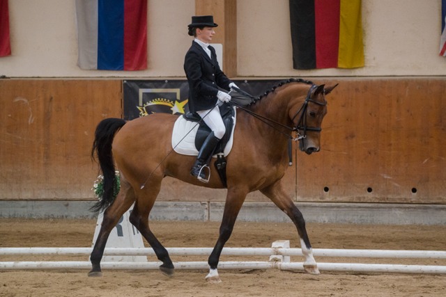 NittnausMartina Lohengrin SVK HCHC cGraf 01