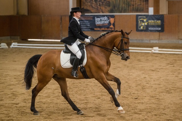 NittnausMartina Lohengrin SVK HCHC cGraf 02