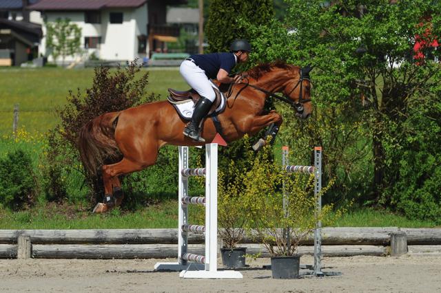 ObernauerChristoph Amitage 26 so