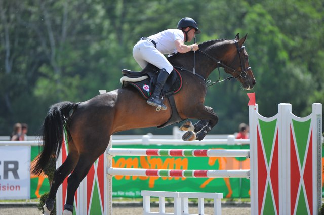 PapusekKamil Ichikawa 41 YH6 Do HB