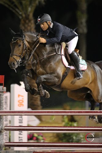 ParotSamuel AlCalypso cSportfot