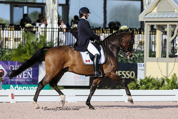 PavicicKaren DonDaiquiri 0223 cStickle