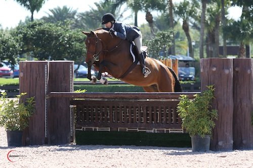 PedersenLyn Silhouette 0215 cSportfot