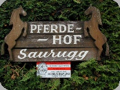 PferdehofSaurugg