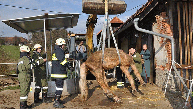 Pferderettung Stmk FF cJos