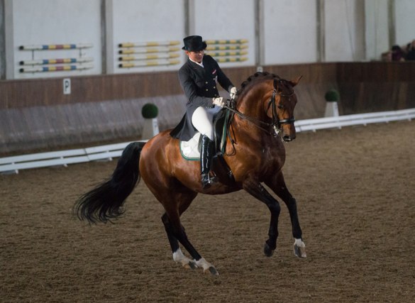 PrunthallerUlrike BartlgutsAktionaer CDNA GP SoHo Feb14 01