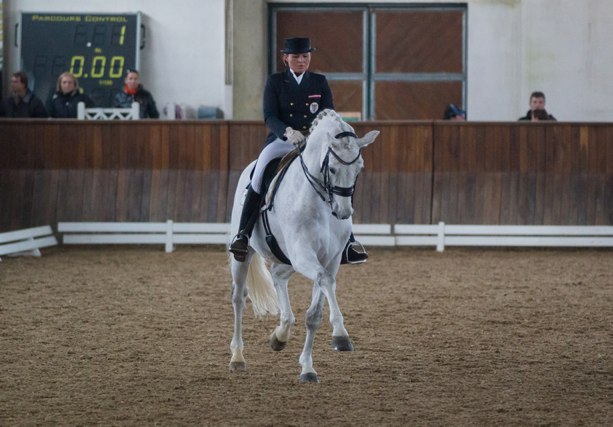 PrunthallerUlrike BartlgutsLimotas CDNA GP SoHo Feb14