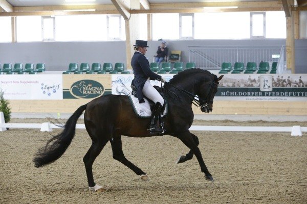 PrunthallerUlrike bartgutsFuerstTheodor 3Platz InterA Sa cLeitgeb