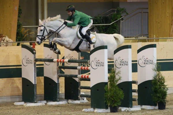 PuckGerfried Alonso Sieger Gld Do 0220 cLeitgeb