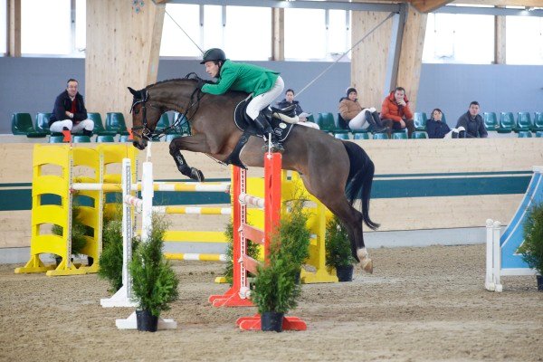 PuckGerfried MR cLeitgeb