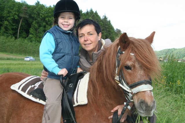 Reitstunde AmPferd FEBS