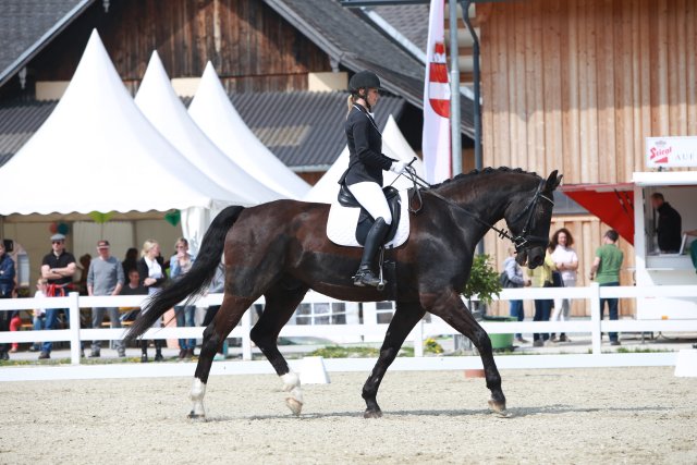 RossinNina Robin cBrunnmayr