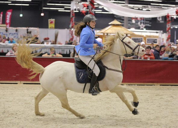 RuthDenise EdensideBlueEyes 40 CSNP Pony Fr