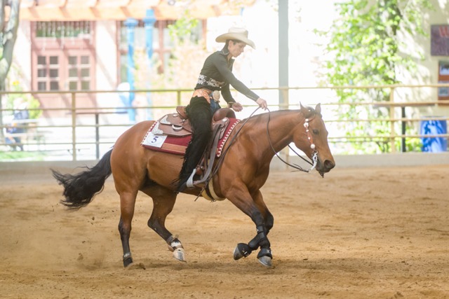 RzepkaSylvia Whizable GER CRI3 Wr.Neustadt cGraf 02