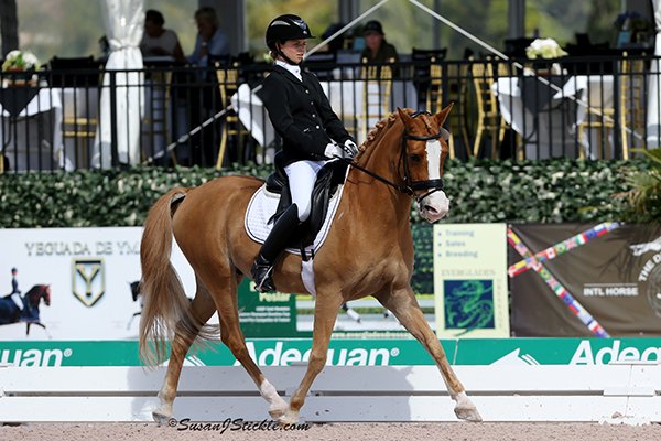 SadisKatrina Poldy 0223 cStickle
