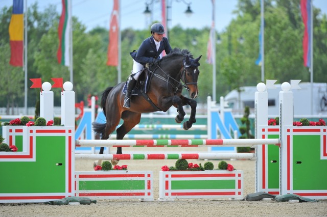 SauruggMarkus Chester24 01 YH5 Mi HB