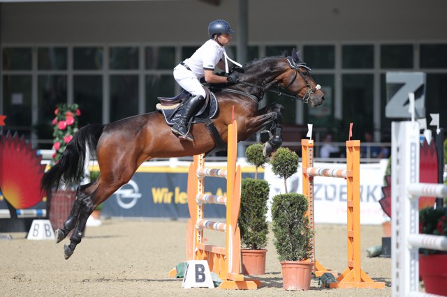 SauruggMarkus ViennaXII 36 ST Do TH