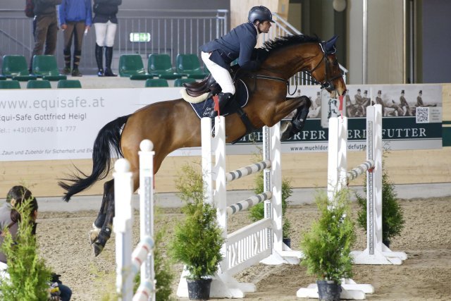 Sauruggmarkus FancyFree 3Platz Bronze Do MR 0214 cLeitgeb