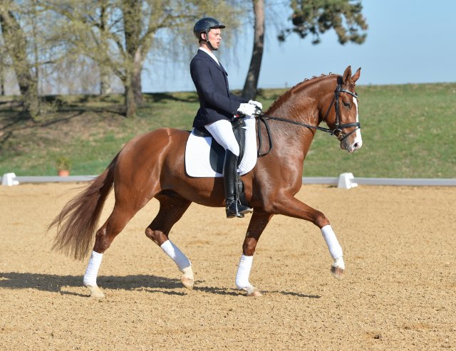 Schmuckstuecke Bulgari trab fi