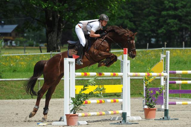 SchwembergerBenjamin Gemini Transpo