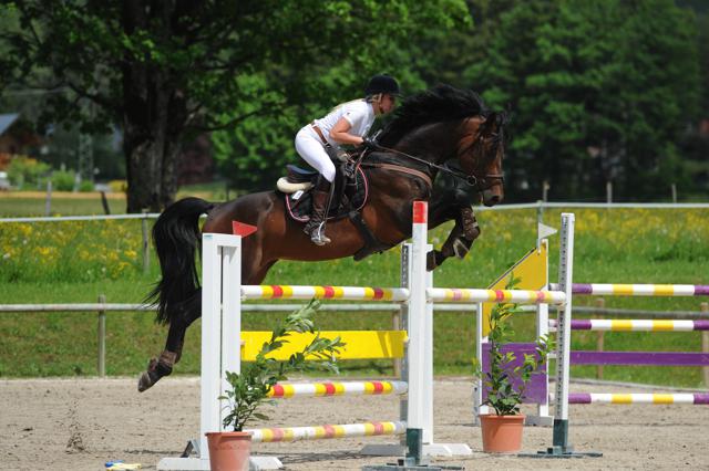 SeyrlingMaria ForExample2 Transpo