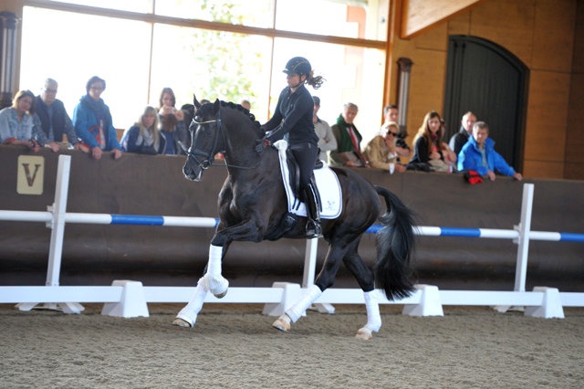 Sezuan Dorothee Schneider Gal Perl 14 BECKER