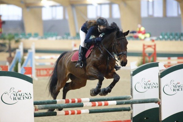 SixtaAkela GipsyKing Sieger VIPFinale So 0216 cLeitgeb