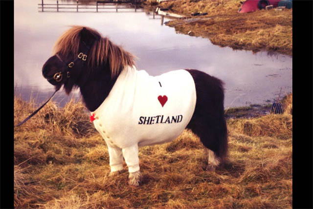 Socks Schottland