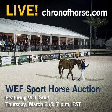 SportHorseAuction