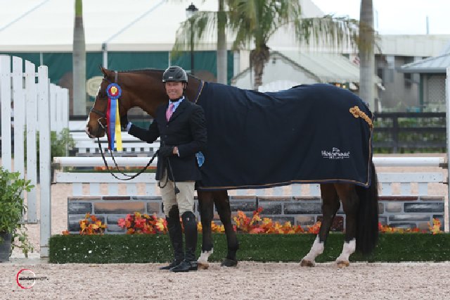 StewartScott Wish Presentation