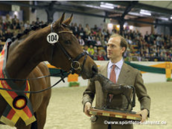 Tansmusik Jahressiegerstute2013