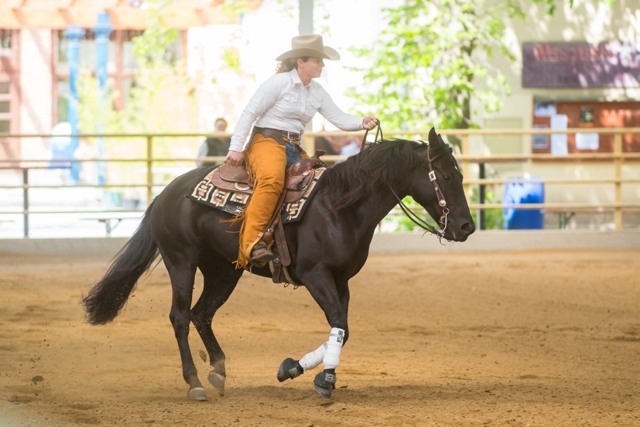 TardrupCharlotte MagnumLicoriceChic CRI3 Wr.Neustadt cGraf 01