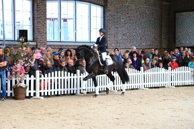 TdoT Hengste Florenz