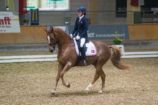 UlrichNikoline DornickSon DEN CDIP StadlPaura cGraf 01