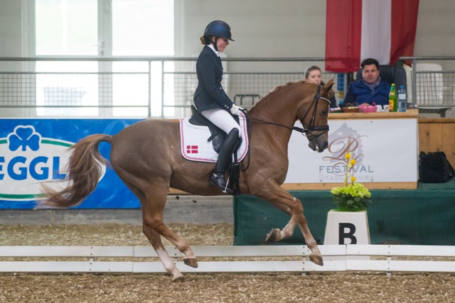 UlrichNikoline DornickSon DEN CDIP StadlPaura cGraf 02