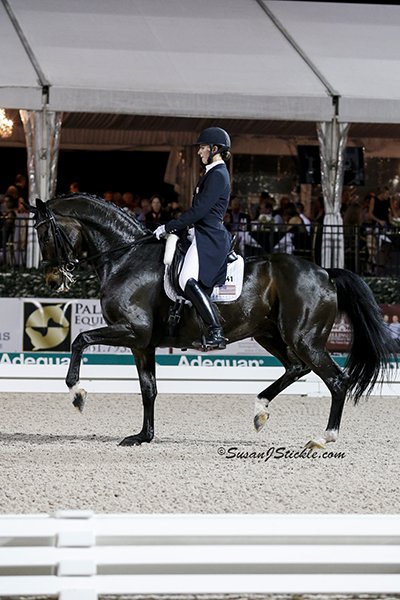 WEBAdrienneLyle Wizard 14NC1737cSusanJStickle com jpg