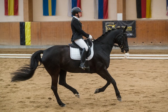 WarumElisabeth Donatella68 HCHC cGraf 02