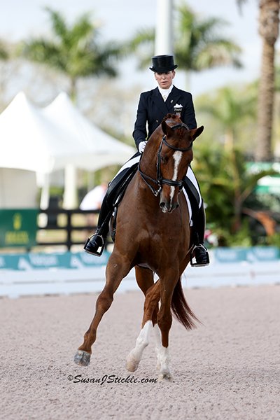 WilcoxLisa Galant 0223 cStickle