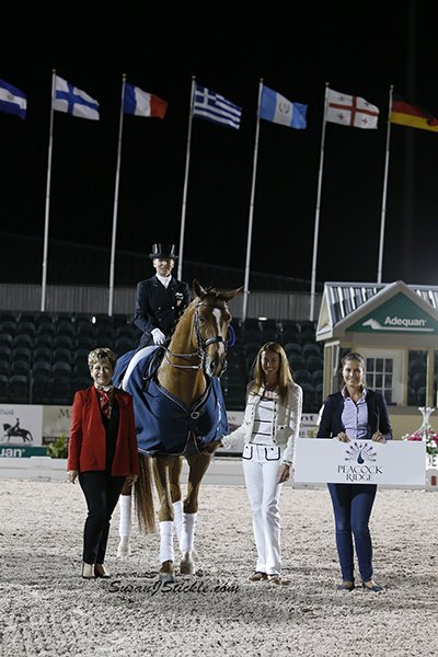 WilcoxLisa Galant WP cStickle