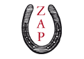ZAP Logo