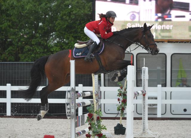 ZwienerSally Latent 19 L sa