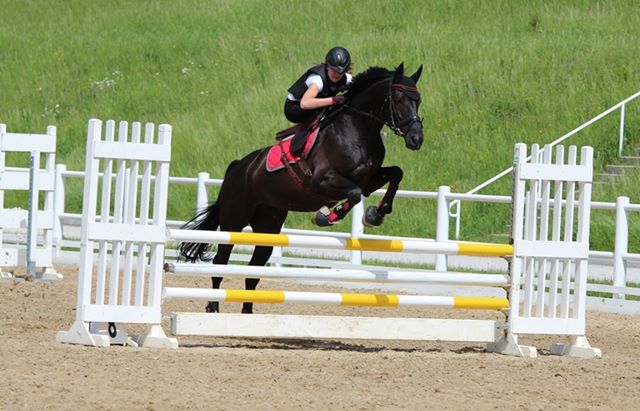 damensattel springen web