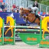 Gaudiano_Emanuele_Chicago_GCT_Vienna12_cPPP_6676_